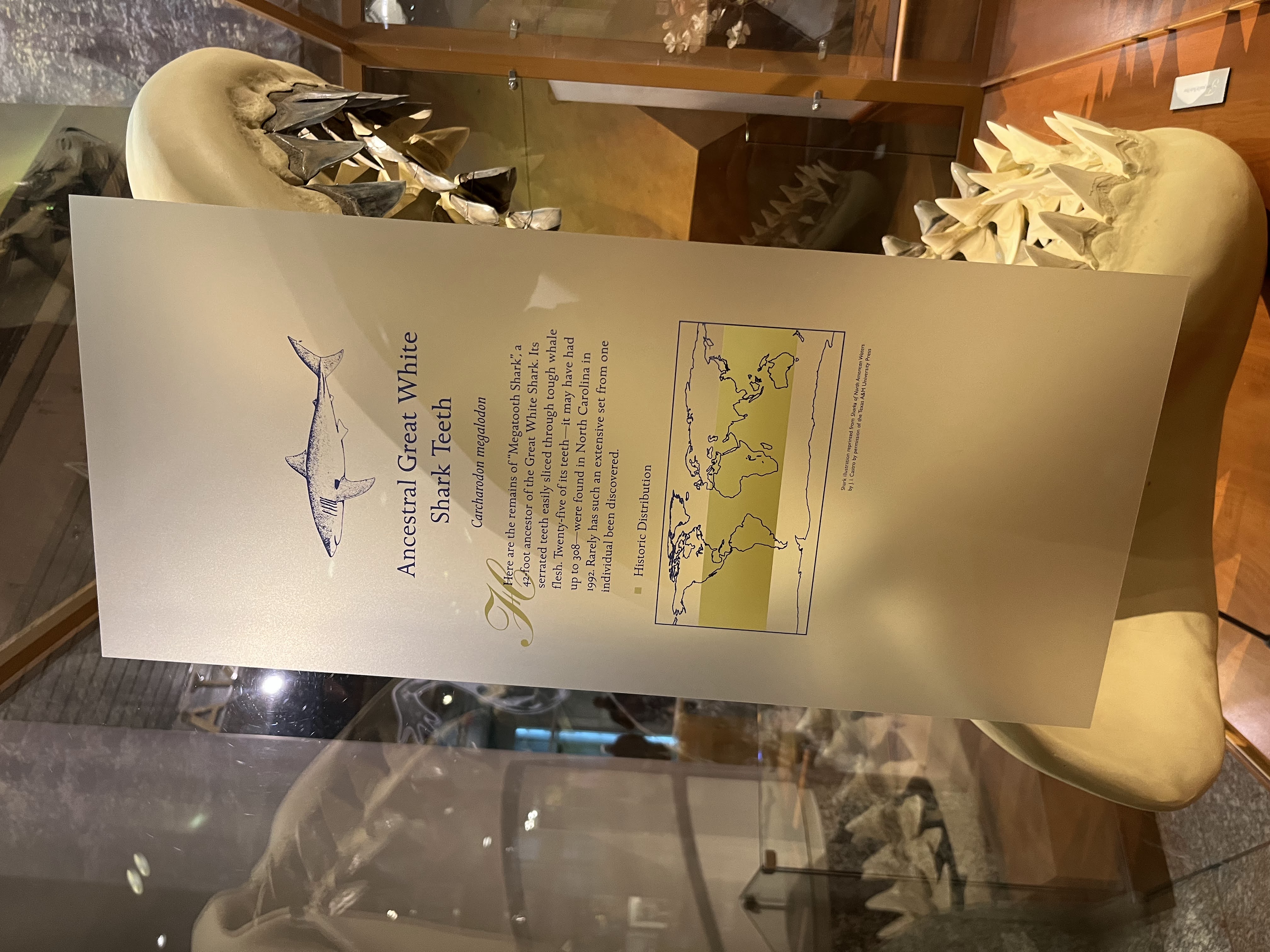 North Carolina Museum of Natural Sciences